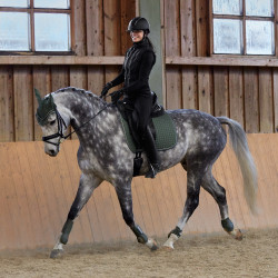 Tapis de selle mixte Adepto Horze Rose aube Tapis de selle mixte Adepto Horze Rose aube