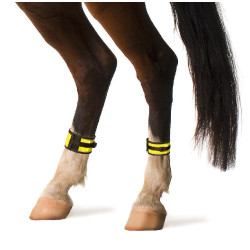 Bandes réfléchissantes Covalliero Bandes réfléchissantes Covalliero