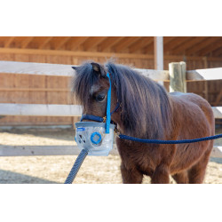 Masque d’inhalation AirOne avec accessoires Hippomed