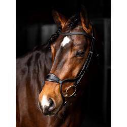Bridão LeMieux Arika muserola anatômica ajustável Preto / prata