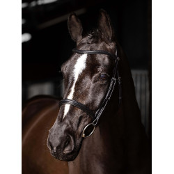 Bridão LeMieux Arika Cavesson Preto / prata Bridão LeMieux Arika Cavesson Preto / prata