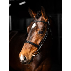 Bridão LeMieux Arika Cavesson Preto / prata Bridão LeMieux Arika Cavesson Preto / prata