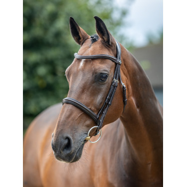 Bridão LeMieux Arika Cavesson Castanho / prateado Bridão LeMieux Arika Cavesson Castanho / prateado