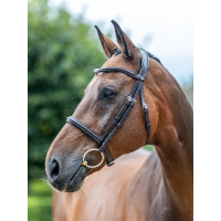 Bridão LeMieux Arika Cavesson Preto / prata