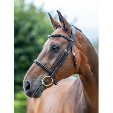 Bridão LeMieux Arika Cavesson Castanho / prateado Bridão LeMieux Arika Cavesson Castanho / prateado