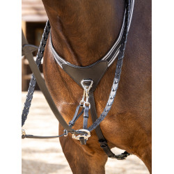 Peitoral elástico Arika LeMieux Preto / prata