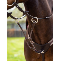 Martingale LeMieux élastique avec protection de poitrail Castanho / prateado