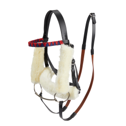 Bridão de corrida LeMieux Hobby Horse