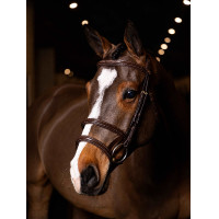 Bridão duplo com focinheira dupla LeMieux Kudos Havana / latão Castanho