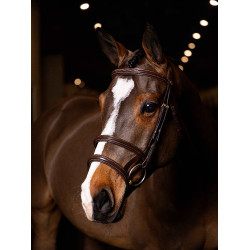 Bridão duplo com focinheira dupla LeMieux Kudos Havana / latão Castanho