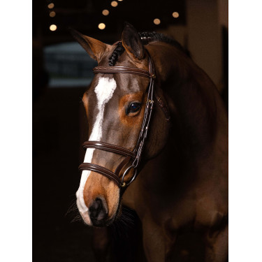 Bridão duplo com focinheira dupla LeMieux Kudos Havana / latão Castanho