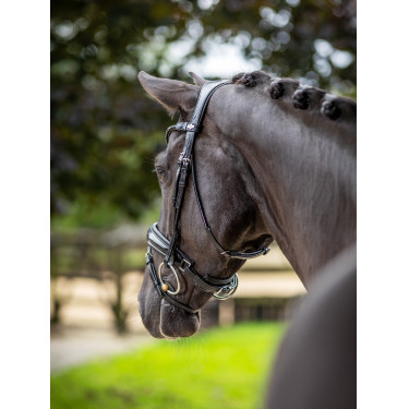 Bridão LeMieux Kudos Patent dressage Bridão LeMieux Kudos Patent dressage