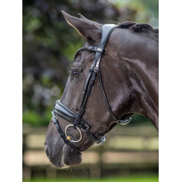 Bridão LeMieux Kudos Patent dressage Bridão LeMieux Kudos Patent dressage