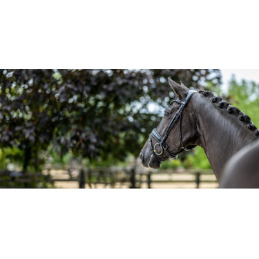 Bridão LeMieux Kudos Patent dressage Bridão LeMieux Kudos Patent dressage