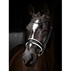 Bridão LeMieux Kudos Patent dressage Preto / branco
