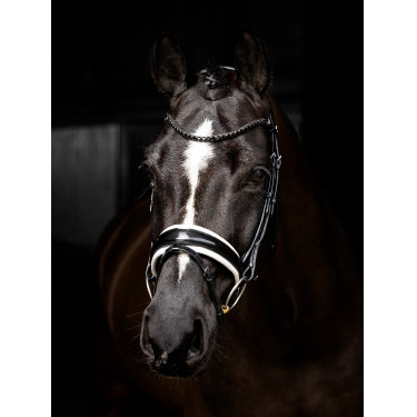 Bridão LeMieux Kudos Patent dressage Preto / branco Bridão LeMieux Kudos Patent dressage Preto / branco