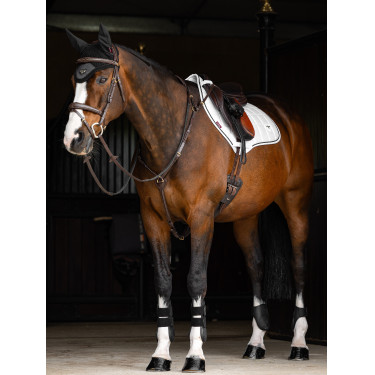 Sela de equitação LeMieux Loire Close Contact Square CSO Branco modelo antigo