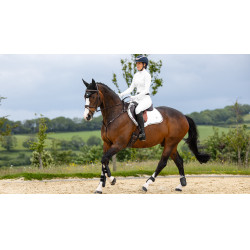 Sela de equitação LeMieux Loire Close Contact Square CSO Branco modelo antigo