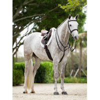 Tapete Hunter Merino+ ProSorb LeMieux Branco / branco