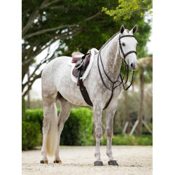 Tapete Hunter Merino+ ProSorb LeMieux Branco / branco