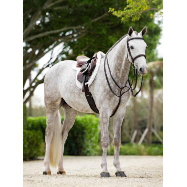 Tapete Hunter Merino+ ProSorb LeMieux Tapete Hunter Merino+ ProSorb LeMieux