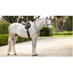 Tapete Hunter Merino+ ProSorb LeMieux Branco / branco