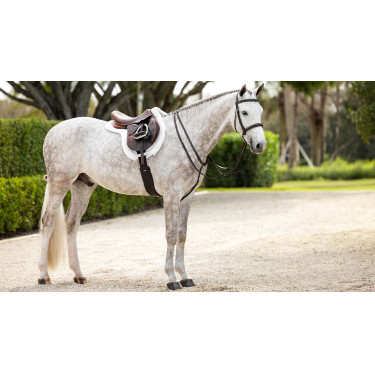 Tapete Hunter Merino+ ProSorb LeMieux Tapete Hunter Merino+ ProSorb LeMieux