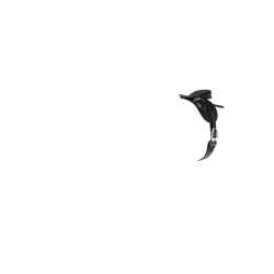 Sela de dressage para brinquedo Mini Pônei LeMieux Preto Sela de dressage para brinquedo Mini Pônei LeMieux Preto