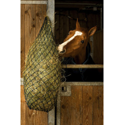 Fenoeira longa Hippotonic Fenoeira longa Hippotonic