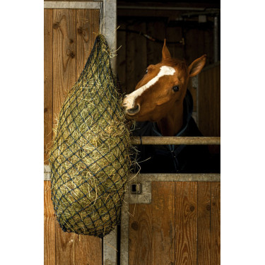 Fenoeira longa Hippotonic Fenoeira longa Hippotonic