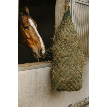 Fenoeira longa Hippotonic Fenoeira longa Hippotonic