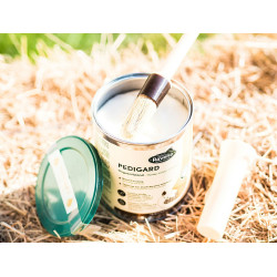 Pediguard Ravene Onguent blond Pediguard Ravene Onguent blond