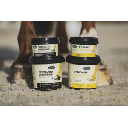 Pediguard Ravene Onguent blond Pediguard Ravene Onguent blond