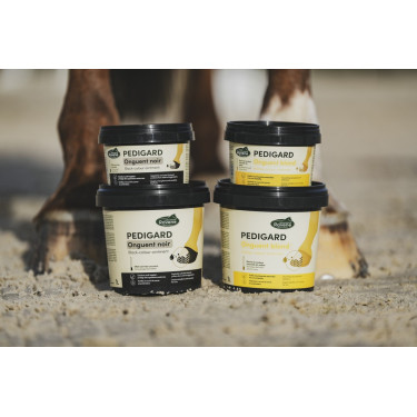 Pediguard Ravene Onguent blond Pediguard Ravene Onguent blond