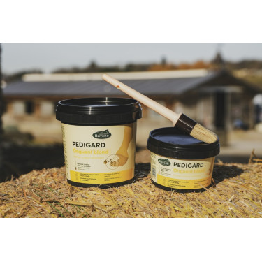 Pediguard Ravene Onguent blond Pediguard Ravene Onguent blond