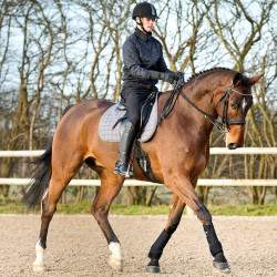 Guêtres em neoprene Horze Supreme Preto