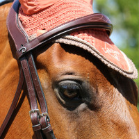 Bridão Muserola Combinada Anatômica Dy'on New English Collection Castanho