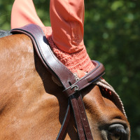 Bridão Muserola Combinada Anatômica Dy'on New English Collection Preto