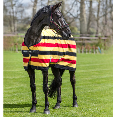 Cobertor Polar Horseware Rambo® Deluxe