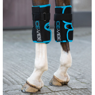 Guêtres Ice-Vibe Joelhos Horseware