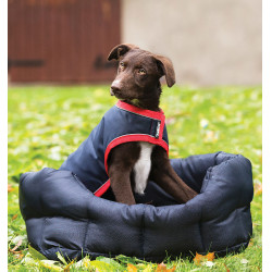 Capa Rambo para cão Horseware impermeável 100g