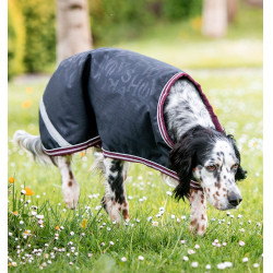 Capa para cão Amigo Ripstop Horseware Capa para cão Amigo Ripstop Horseware