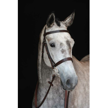 Bridon Collegiate Cavesse IV Castanho