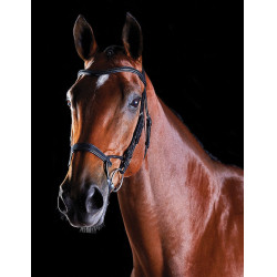 Bridon Collegiate ComFiTec Preto