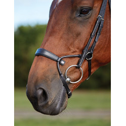 Bridon Collegiate ComFiTec Preto