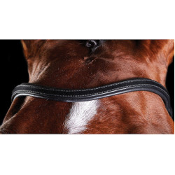 Bridon Collegiate ComFiTec Preto