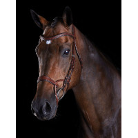 Bridon Collegiate ComFiTec Castanho