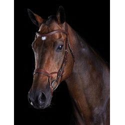 Bridon Collegiate ComFiTec Castanho