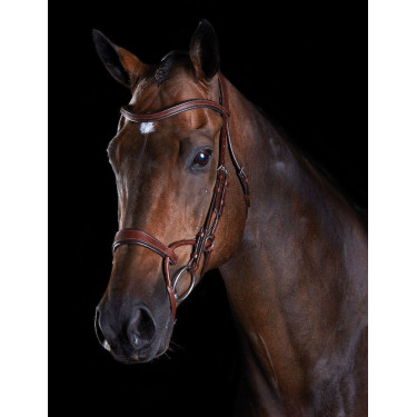 Bridon Collegiate ComFiTec Castanho