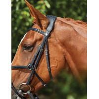 Bridon Collegiate ComFiTec Grackle Preto